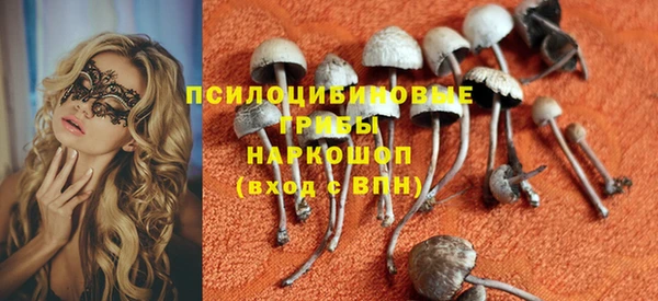 spice Балабаново