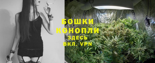 индика Касимов