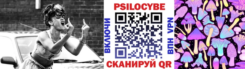 Псилоцибиновые грибы Psilocybe Гороховец